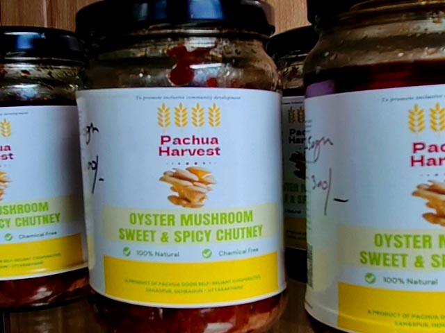 Oyster Mushroom Chutney